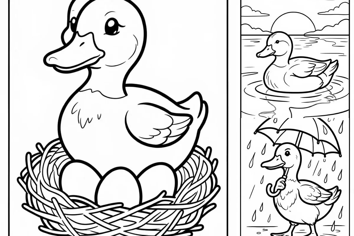 Desenhos de Patos para Imprimir e Colorir
